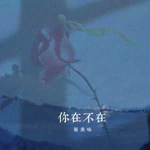 曹逼视频在线观看
