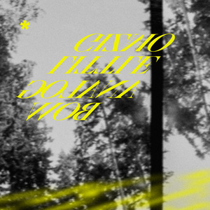 曹逼视频在线观看
