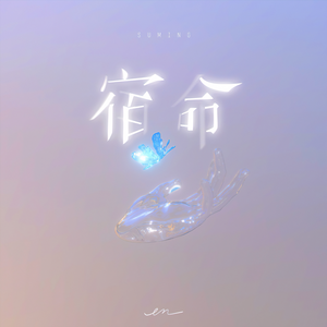 曹逼视频在线观看
