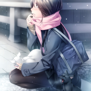 曹逼视频在线观看
